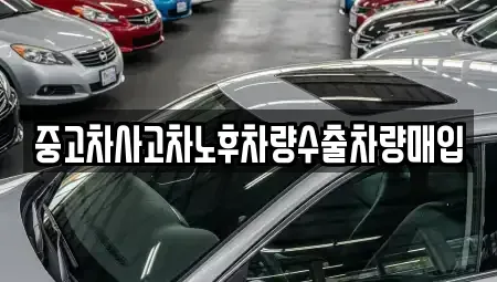 경기도 과천시 막계동 중고차매입 전문 중고차사고차노후차량수출차량매입