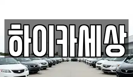 경기도 광명시 철산동 렌트카 전문 하이카세상