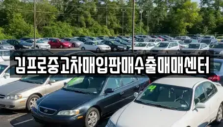 경기도 광명시 철산동 중고차 전문 김프로중고차매입판매수출매매센터