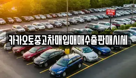 경기도 광명시 철산동 중고차매입 전문 카카오토중고차매입매매수출판매시세