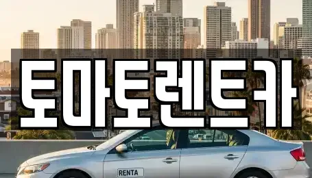 경기도 광주시 양벌동 렌트카 전문 토마토렌트카