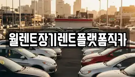 경기도 광주시 양벌동 장기렌트카 전문 월렌트장기렌트플랫폼직카