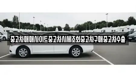 경기도 광주시 양벌동 중고차 전문 중고차매매사이트중고차시세조회중고차구매중고차수출