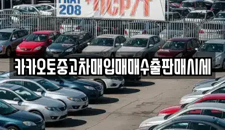 경기도 광주시 양벌동 중고차매입 전문 카카오토중고차매입매매수출판매시세