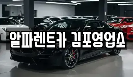 경기도 김포시 마산동 렌트카 전문 알파렌트카 김포영업소