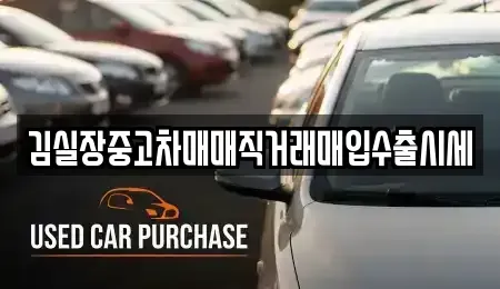 경기도 김포시 마산동 중고차매매 전문 김실장중고차매매직거래매입수출시세