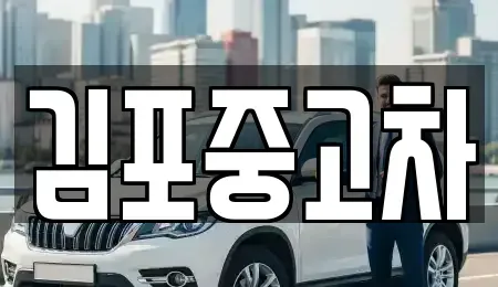 경기도 김포시 마산동 중고차매매,단기렌트카,중고차매입,장기렌트카,중고차,렌트카