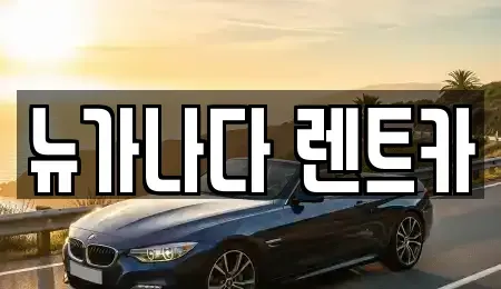 경기도 김포시 장기동 렌트카 전문 뉴가나다 렌트카