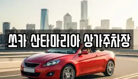 경기도 김포시 장기동 장기렌트카 전문 쏘카 산타마리아 상가주차장