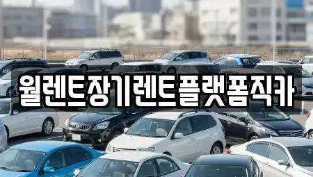 경기도 김포시 장기동 장기렌트카 전문 월렌트장기렌트플랫폼직카