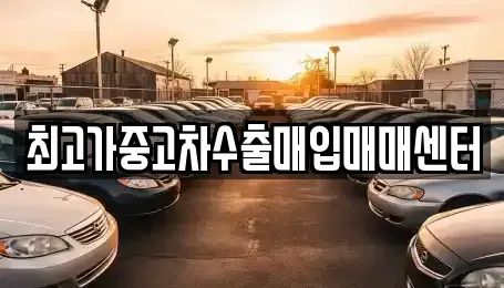 경기도 김포시 장기동 중고차 전문 최고가중고차수출매입매매센터