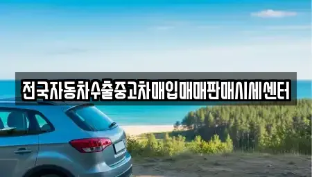 경기도 김포시 장기동 중고차매입 전문 전국자동차수출중고차매입매매판매시세센터