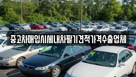 경기도 김포시 장기동 중고차매입 전문 중고차매입시세내차팔기견적가격수출업체