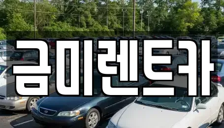 경기도 부천시 오정구 내동 렌트카 전문 금미렌트카