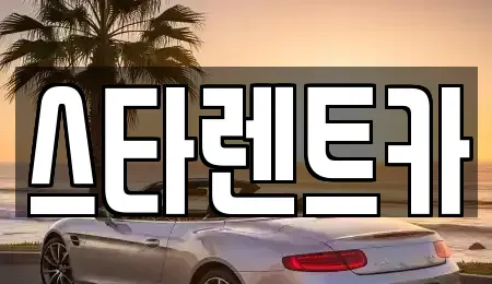 경기도 부천시 오정구 내동 렌트카 전문 스타렌트카