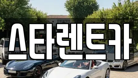 경기도 부천시 오정구 내동 렌트카 전문 스타렌트카