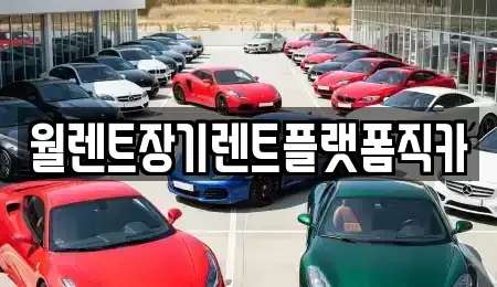 경기도 부천시 오정구 내동 장기렌트카 전문 월렌트장기렌트플랫폼직카