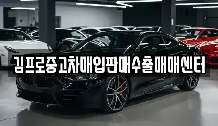 경기도 부천시 오정구 내동 중고차매매 전문 김프로중고차매입판매수출매매센터