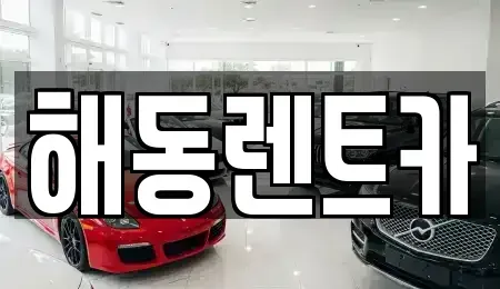 경기도 부천시 원미구 원미동 렌트카 전문 해동렌트카