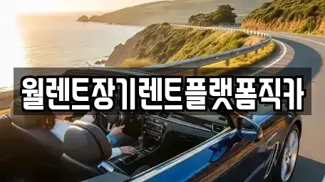 경기도 부천시 원미구 원미동 장기렌트카 전문 월렌트장기렌트플랫폼직카
