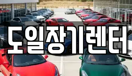 경기도 성남시 분당구 분당동 단기렌트카 전문 도일장기렌터
