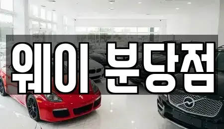 경기도 성남시 분당구 분당동 단기렌트카 전문 웨이 분당점