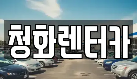 경기도 성남시 분당구 분당동 단기렌트카 전문 청화렌터카