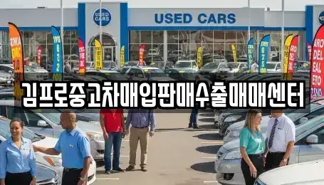 경기도 성남시 분당구 분당동 중고차매매,단기렌트카,중고차매입,장기렌트카,중고차,렌트카