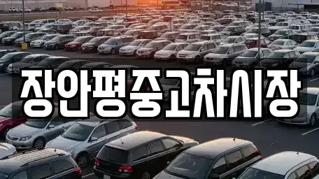 경기도 성남시 분당구 분당동 중고차매매 전문 장안평중고차시장