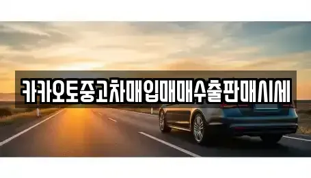 경기도 성남시 분당구 분당동 중고차매입 전문 카카오토중고차매입매매수출판매시세