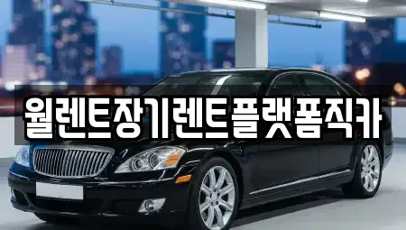 경기도 성남시 수정구 고등동 렌트카 전문 월렌트장기렌트플랫폼직카