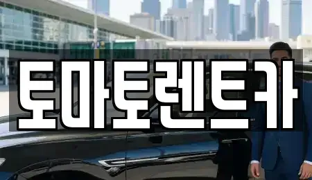 경기도 성남시 수정구 고등동 렌트카 전문 토마토렌트카