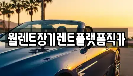 경기도 안성시 대천동 렌트카 전문 월렌트장기렌트플랫폼직카