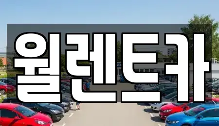 경기도 안성시 대천동 렌트카 전문 월렌트카