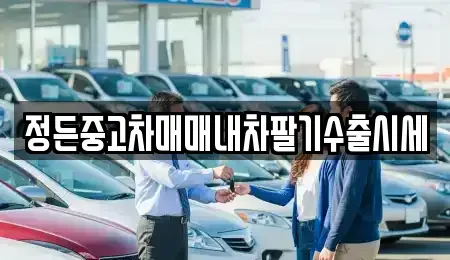 경기도 안성시 대천동 중고차 전문 정든중고차매매내차팔기수출시세