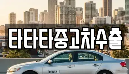 경기도 안성시 대천동 중고차 전문 타타타중고차수출