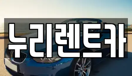 경기도 안성시 양성면 렌트카 전문 누리렌트카