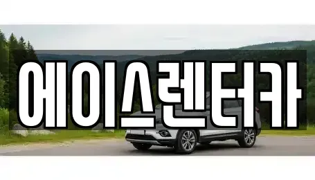 경기도 안성시 양성면 렌트카 전문 에이스렌터카