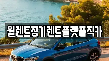 경기도 안성시 양성면 장기렌트카 전문 월렌트장기렌트플랫폼직카