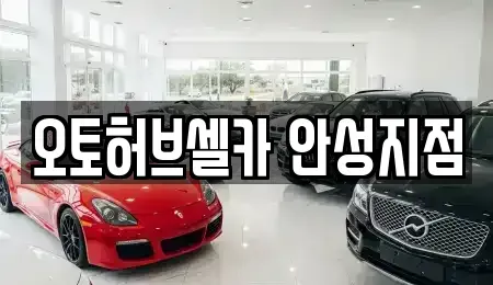 경기도 안성시 양성면 중고차 전문 오토허브셀카 안성지점