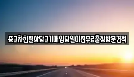 경기도 안성시 양성면 중고차 전문 중고차친절상담고가매입당일이전무료출장방문견적