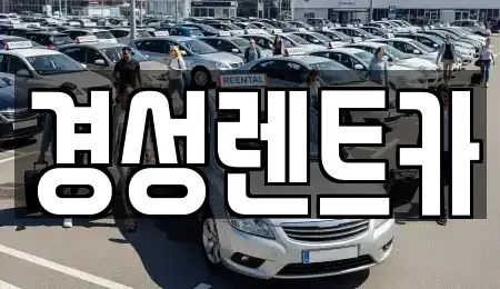 경기도 양주시 회정동 렌트카,단기렌트카,장기렌트카,중고차,중고차매매,중고차매입