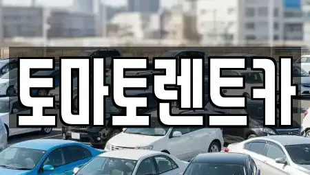 경기도 양주시 회정동 렌트카 전문 토마토렌트카