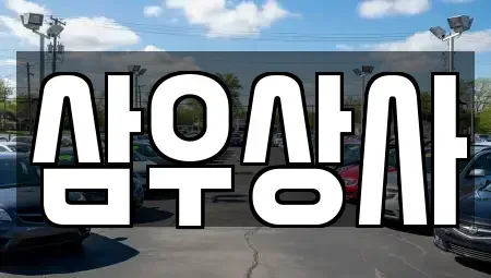 경기도 양주시 회정동 중고차 전문 삼우상사
