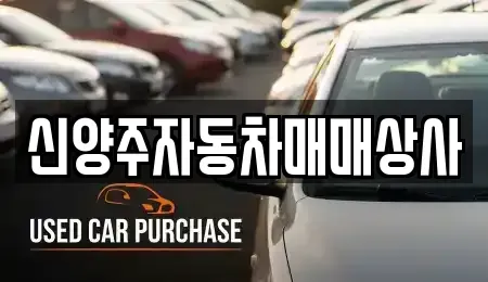 경기도 양주시 회정동 중고차 전문 신양주자동차매매상사
