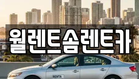 경기도 오산시 부산동 렌트카 전문 월렌트솜렌트카