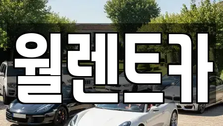경기도 오산시 청호동 렌트카 전문 월렌트카