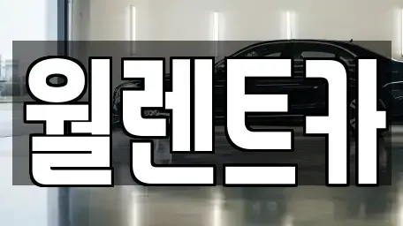 경기도 오산시 청호동 렌트카 전문 월렌트카