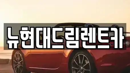 경기도 의왕시 삼동 렌트카 전문 뉴현대드림렌트카