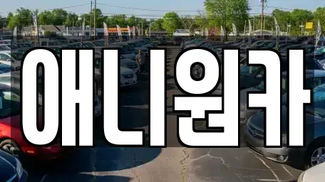경기도 의왕시 삼동 장기렌트카 전문 애니원카